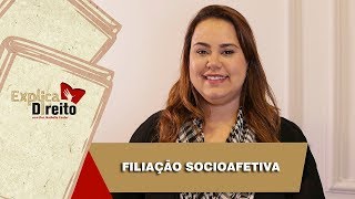 Explica Direito Filiação Socioafetiva  2019 [upl. by Wickner]