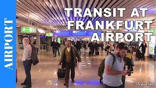 TRANSIT WALK AT FRANKFURT Airport FRA Terminal 1  Connection Flight Transfer Arriving amp Departing [upl. by Ahidam358]